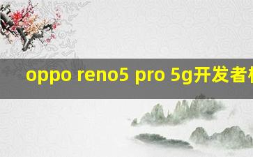 oppo reno5 pro 5g开发者模式